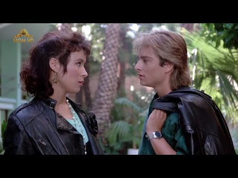 Forêt de Vin - Carol