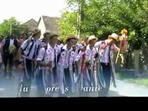 Arad - Dupa mireasa 2.1