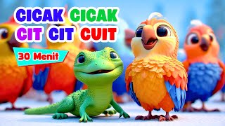 Download lagu Cicak Cicak di Dinding - Cit Cit Cuit dan Kumpulan Lagu Anak Indonesia - Lagu Balita TK PAUD mp3