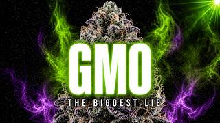 GMO: The Strain That Fooled Everybody