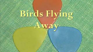 Esteli Covers Series - Part 12: Birds Flying Away