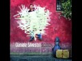 Daniele Silvestri - Lo SCOTCH