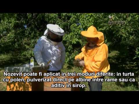 Nozevit si Importanta Albinelor