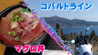 初めてのモトブログ 私的報道バイク版 ツーリングの目的は？コバルトラインorマグロ丼