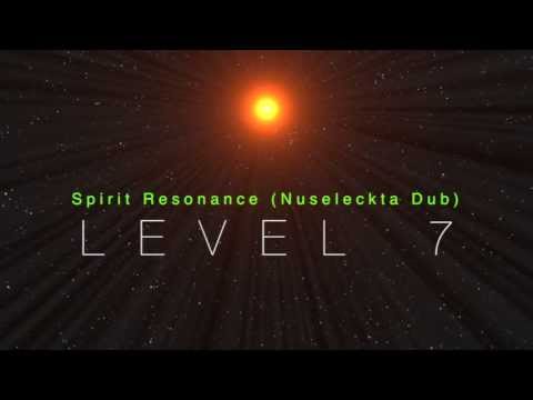 Spirit Resonance (Nuseleckta Dub)