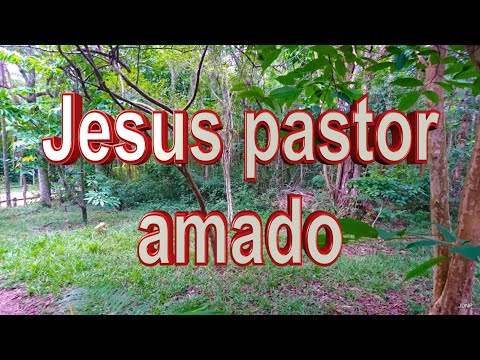 Jesus pastor amado - Canto congregacional - Topic