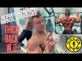 The PERFECT BACK - thickness, density and width full workout
