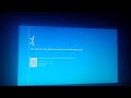 Angry Birds Rio Monkey Has BSOD Windows 10