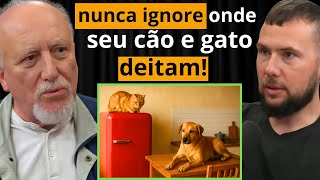 Descubra o Segredo que Cães e Gatos Sabem e Você Não!