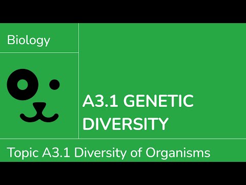 A3.1 Genetic Diversity [IB Biology SL/HL]