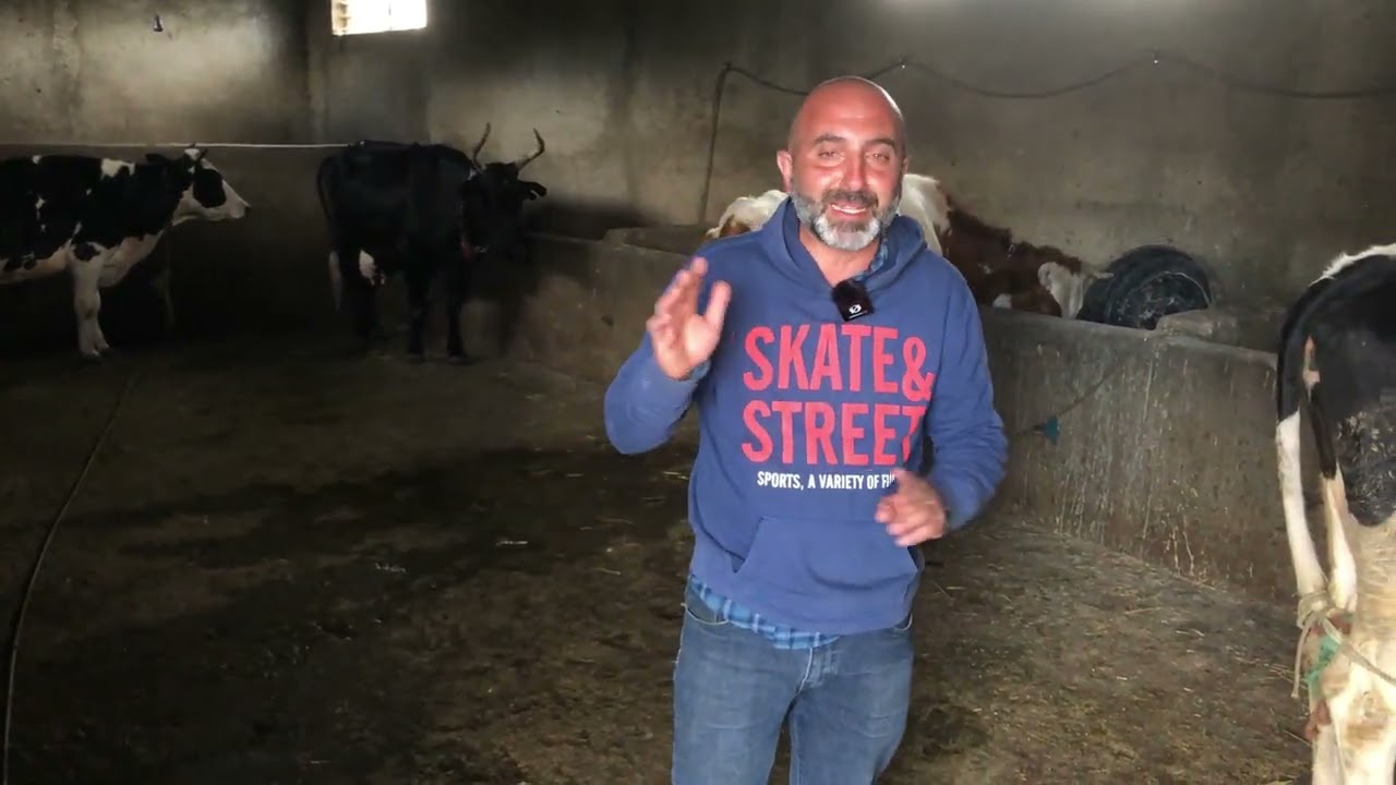 3. Abitare la città