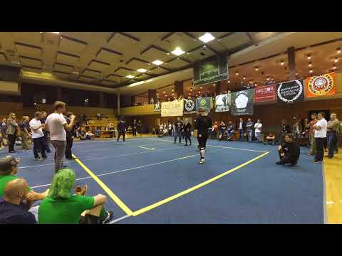Tyrnhaw 2017 Open Longsword 3rd place cam 3