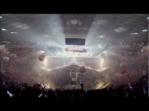 Introducing Faddy Robot