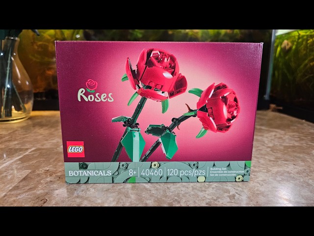 Vídeo relacionado con LEGO Botanicals Roses - Faux Flowers Building Set - Desk Decoration or Floral Home Decor - Nature Toy for 8+ Year Old Girls & Teens - Birthday Gift Idea - 40460