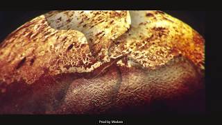 Malaa - Addiction (Jacknife Remix)