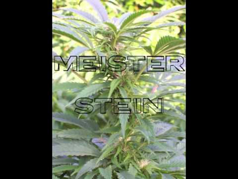 Phaserkraft 4D - Ja, Mann (Meister Stein`s Roadrunner Remix)