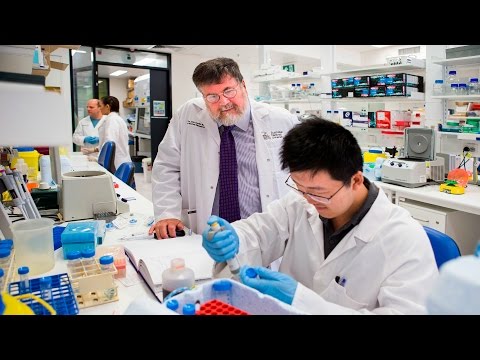 New approach to Malaria treatment