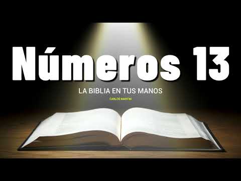 NÚMEROS 13 | CAPITULO COMPLETO