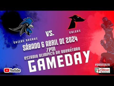 Gallos Negros de Querétaro vs Galgos de Tijuana / Semana 5, Temporada 2024
