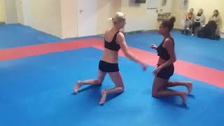 Lingerie Women's Wrestling