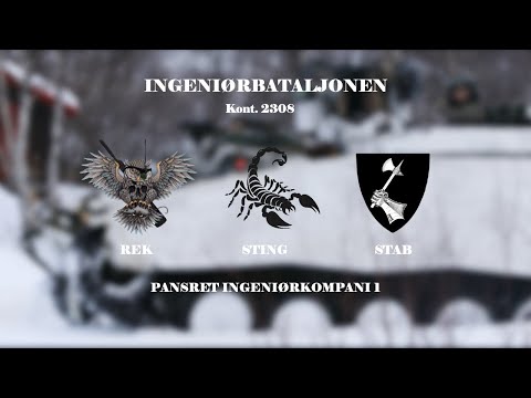 PANSRET INGENIØRKOMPANI 1 | 2308 - STING - REK - STAB (DIMMEFILM)