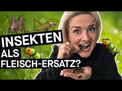 Insekten essen: Fleischersatz und Klimaretter – funktioniert das im Alltag? || PULS Reportage