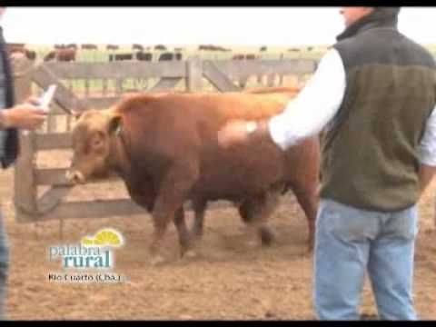 3 BLOQUE PALABRA RURAL