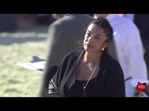 N.11 HEBOOB AL SHAHAHNIA - 2019 Qatar International show - Yearling Fillies (Class 1A)