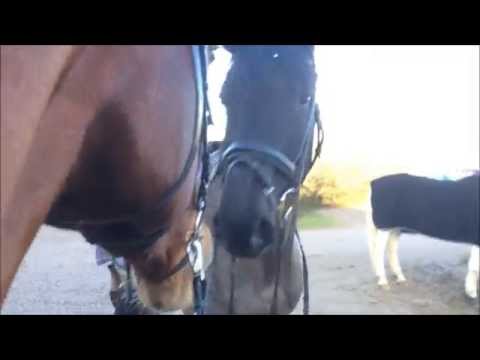 Besuch von Julia am 17.01.15