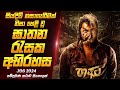 වසර ගණනක් වැළලී තිබූ ඝාතන රැසක අභිරහස 