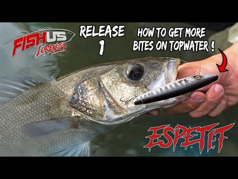 Your new favorite topwater fishing lure- The Espetit -Float tube sea bass fishing-Spigole a spinning