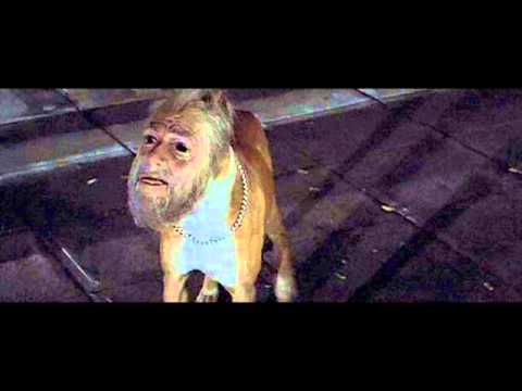 Jinmenken, los perros con rostros humanos de Japón