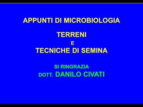 Pulizia di risultati di parassiti Quali parassiti ci vivono in tessuti