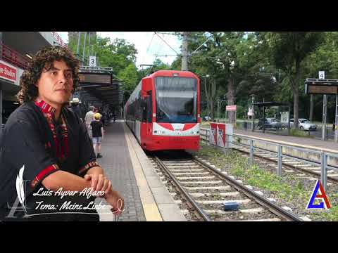 Luis Ayvar Alfaro - Miene Liebe (Mi amor)