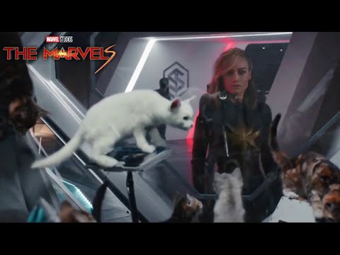 Flerken Kittens in The Marvels [1080p]
