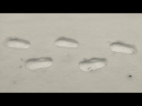 5 Sterne Hotel in Ffm - Elke Horner / Uwe Steger