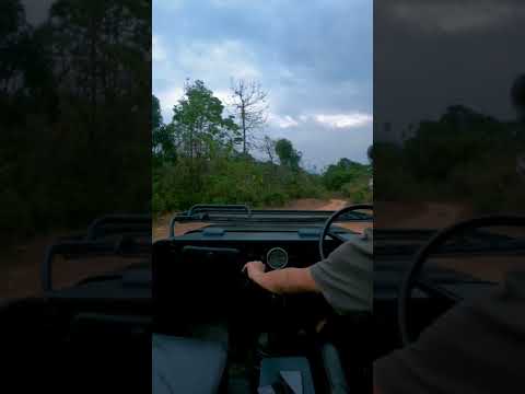 Thumbnail for The Willys Sound 😍 Rush through the Engine #Shorts #OriginalSound #willys by Willys