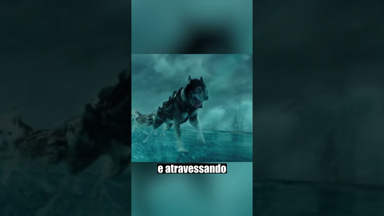 O Cachorro Que Salvou Uma Cidade