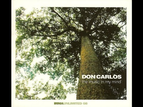 Don Carlos Feat.Taka Boom - Music Of Your Mind