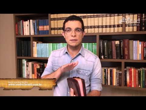 Novo Curso Bíblico: Instrumentos Eficazes para Melhor Compreender a Bíblia