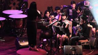 Stretta Chamber Orchestra Video Profile