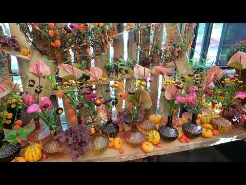 Eindrücke von der Blumenschau Herbstfest in der Blumenhalle der Landesgartenschau Fulda