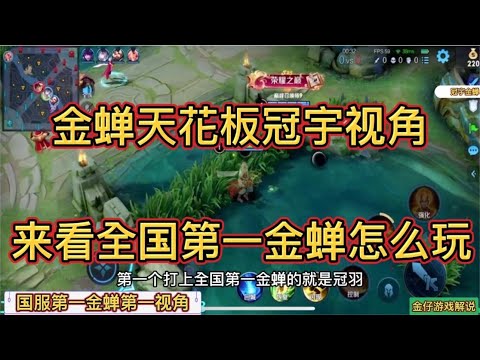 金蟬