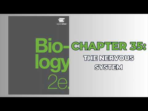 OpenStax Biology 2e (Audiobook) - Chapter 35: The Nervous System