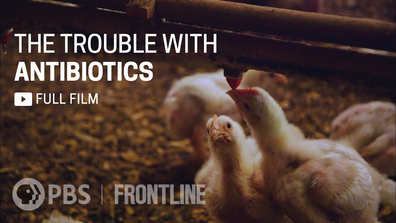 The Trouble with Antibiotics (full documentary) | FRONTLINE - YouTube