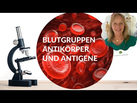 Blutgruppen-Antikörper und -Antigene (Teil 1 - Basiswissen) | Dr. Claudia Bignion