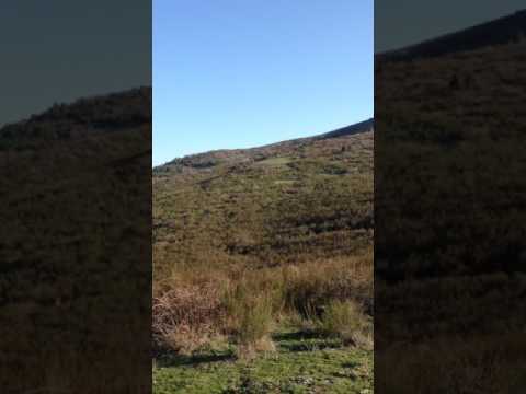 Gjuetia ne Mitrovicë