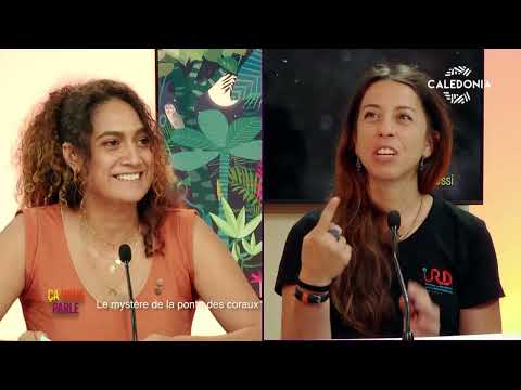 ÇA VOUS PARLE - Le mystère de la ponte des coraux