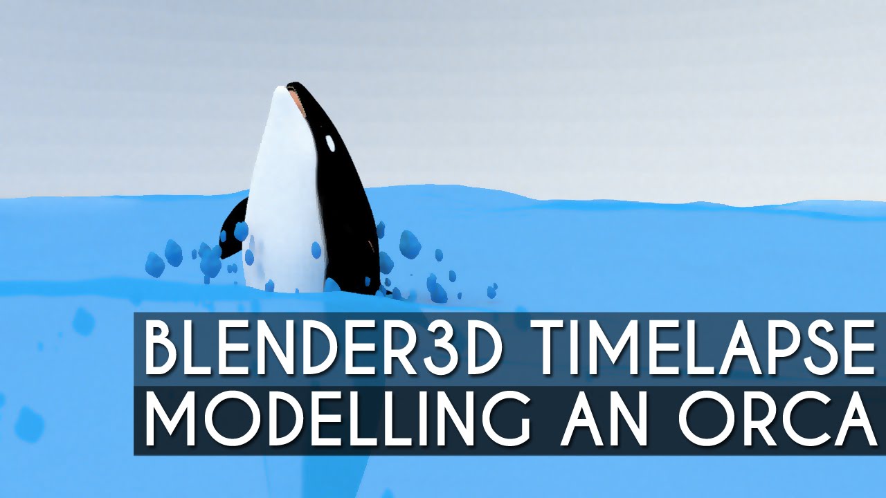 Blender 3D TimeLapse: Modelling an Orca/Killer Whale
