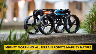 Podcast: Mighty Morphing All Terrain Robots Made By Nature